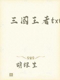 三国王者txt