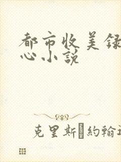都市收美录宁素心小说