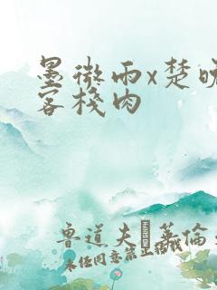 墨微雨x楚晚宁客栈肉