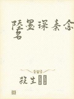 陆墨琛秦念小说名