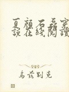 夏颜石磊穿越小说在线阅读