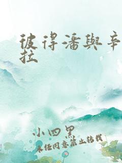 彼得潘与辛德瑞拉