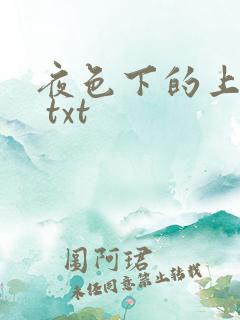 夜色下的上海滩 txt