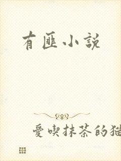 有匪小说