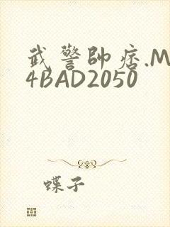 武警帅痞.MP4BAD2050