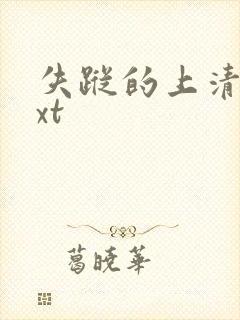 失踪的上清寺txt