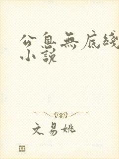 公息无底线的爱小说