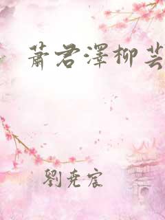 萧君泽柳芸小说