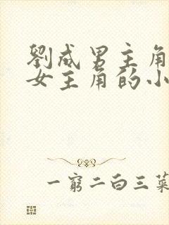 刘成男主角刘雪女主角的小说