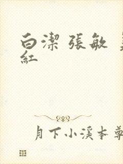 白洁 张敏 美红