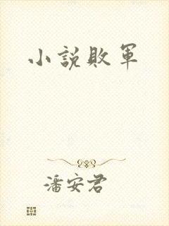 小说败军