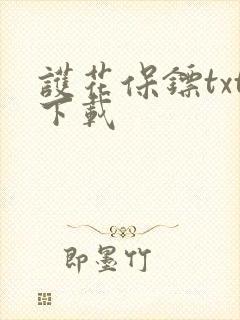 护花保镖txt下载