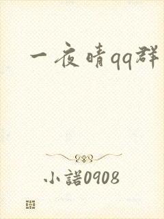 一夜晴qq群