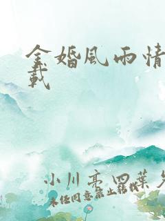 金婚风雨情 下载