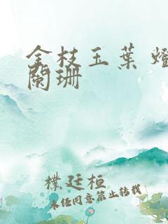 金枝玉叶 灯火阑珊