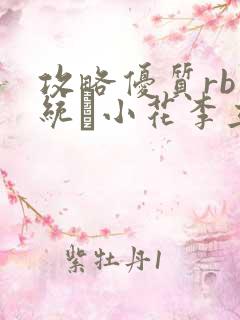 攻略优质rb系统寀小花李立远