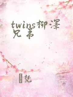 twins柳泽兄弟