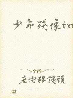 少年残像txt