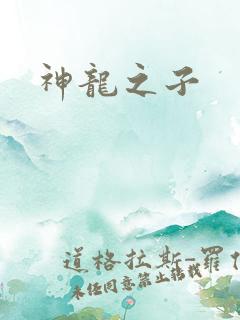 神龙之子