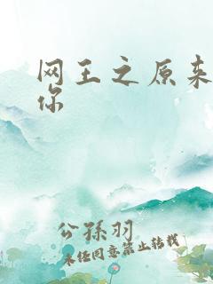 网王之原来我爱你