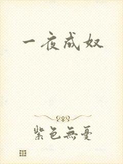 一夜成奴