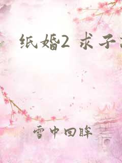 纸婚2 求子记