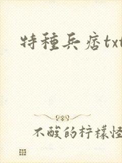 特种兵痞txt