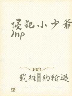 侵犯小少爷(H)np