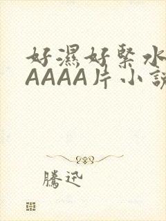 好湿好紧水多AAAAA片小说