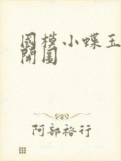 国模小蝶玉门大开图