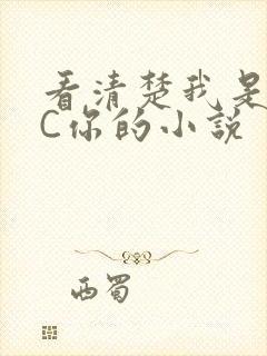 看清楚我是怎么C你的小说