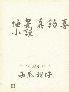 他是真的喜欢你小说