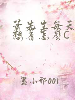 萧先生每天都在想着怎么C