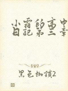 小霜的高中成长日记第三章