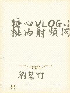 糖心VLOG小桃内射频网站