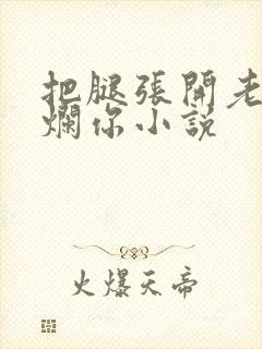 把腿张开老子臊烂你小说