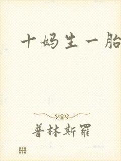 十妈生一胎