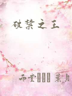 破禁之王