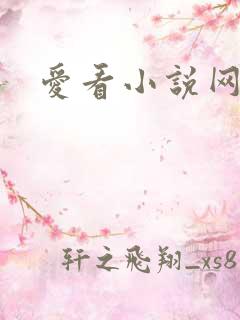 爱看小说网
