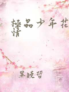 极品少年花都燃情