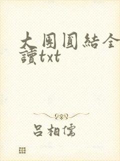大团圆结全文阅读txt