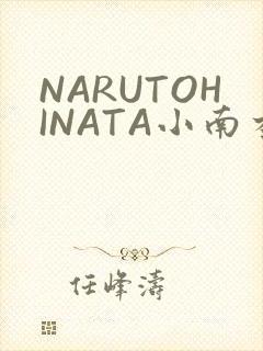 NARUTOHINATA小南本子