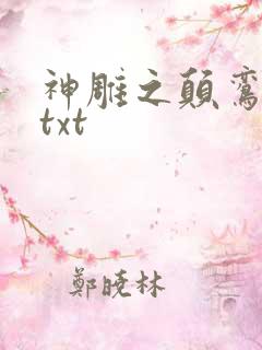 神雕之颠鸾倒凤txt
