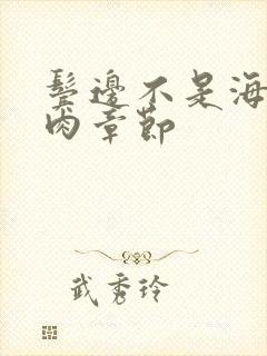 鬓边不是海棠红肉章节