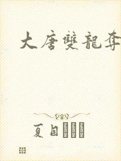 大唐双龙夺艳记