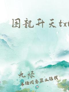 困龙升天txt