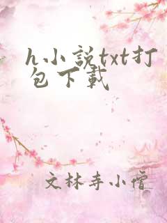 h小说txt打包下载