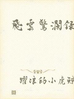 飞云惊澜录