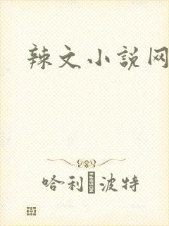 辣文小说网