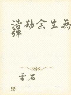 浩劫余生无限子弹